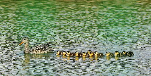 下半年最受期待动作RPG《我独自升级：起立·觉醒》将于11月25日正式上线